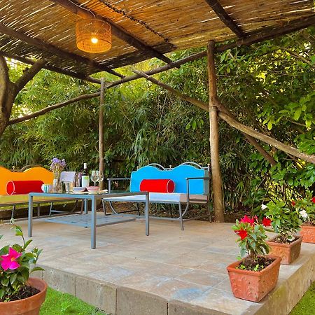 La Dimora: Relax In A Lovely Garden Massa Lubrense Kültér fotó